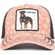 Кепка Goorin Bros Animal Farm BAD BOY Limited Collection One size (101-0948) - зображення 5
