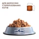 Сухой корм для стерилизованных котов Club 4 Paws Sterilized с курицей 14 кг B4630701 - изображение 2