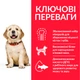 Сухий корм для цуценят великих порід Hills Puppy Large Breed Chicken з куркою 14.5 кг 604386 - зображення 2