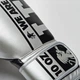 Боксерские перчатки Leone Nexplosion Silver (натуральная кожа) 10 ун. - изображение 6