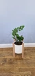 Подставка для вазона, цветов 20.3x30 см из дерева WoodDecor без покрытия - изображение 6