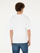Футболка хлопковая длинная мужская U.S. Polo Assn G081SZ011-000-2006915(beyaz) 2XL Белая (8683857761250) - зображення 2