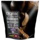 Креатин моногидрат Power Pro Creatine Maximum Recovery with flavour (500 g), вкус виноград - изображение 1