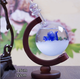 Барометр Штормгласс Глобус большой с Розой 22х15 см Storm glass на деревянной подставке - изображение 2
