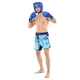 Шорти для тайського боксу MMA чоловічі Hard Touch Wolf 4668 розмір XL (50-52) Blue-Deep Blue - зображення 7