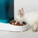 Смарт кормушка Petkit Fresh Element Solo White (P570) - изображение 5
