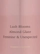 Набір Victoria's Secret Velvet Petals New Fragrance Mist + Lotion (26972017-26972009) - изображение 2