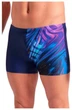 Плавки мужские Arena Flow Swim Shorт 80 CM Синий 008937-750 - изображение 1