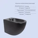 Унитаз напольный Robin Ultra Quiet QT13226083AMB 660x360x855 Black + Биде напольное Robin QT13442141CMB 565x360x405 Black - изображение 6