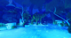 Gra PS4 The Smurfs 2: The Prisoner of the Green Stone (Blu-ray płyta) (3701529508820) - obraz 5