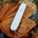 Складной нож Victorinox Spartan 91 мм — белый, многофункциональный, 12 инструментов - изображение 3