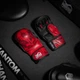 Рукавиці для ММА Phantom Muay Thai Red S/M (капа в подарунок) (PHMMAG2705-SM) - зображення 13