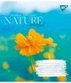 Зошит 24арк. = YES 767045 Nature colorful (20) /767045/ - изображение 3