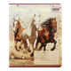 Зошит 24арк. = ZiBi 1770 HORSES (20) /ZB25.1770L/ - изображение 1