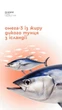 OMEGA COMPLEX + Омега -3, -6, -9 , Чойс Choice, Made in Ukraine, 60 капсул - изображение 9