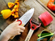 Zestaw kuchenny Opinel Le Petit Chef 3 szt (3123840017469) - obraz 10