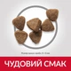 Сухой корм Hill's SP Kitten Chicken 300 г (607660) - изображение 3