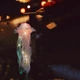 Подвесной светильник-фонарь 22×55 см на батарейках в виде Медузы Jellyfish Lamp - изображение 3