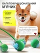 Іграшка м'ячик для кота інтерактивні іграшки для котів кішок кошеня розумний м'яч зелений Lavka 1605254202 - зображення 7