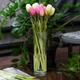 Ваза стеклянная Pasabahce Botanica 265 мм (43767) - изображение 2