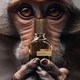 Пробник духов унисекс Orto Parisi Risvelium Parfumes to Try 5 мл (2000009000342) - изображение 2