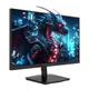 Ігровий монітор TITAN ARMY P2510H Flat 16:9 HVA FHD 240Hz - изображение 9