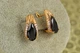 Сережки Xuping Jewelry Сонет із чорним каменем 1,7 см золотисті - зображення 2