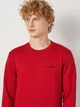 Світшот чоловічий Calvin Klein Jeans 11504 L Бордовий (smt2000000034232) - зображення 4