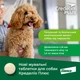 Таблетка проти зовнішніх та внутрішніх паразитів для собак Elanco Credelio Plus від 1.4 до 2.8 кг ЦІНА ЗА 1 ШТ - зображення 2