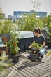 Столик для теплиці Elho Green Basics Grow Table Super XXL 92 л Чорний (303945) - зображення 6