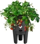 Вазон Elho Green Basics Strawberry 33 см Чорний (527792) - зображення 2