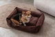 Лежак для собак Harley and Cho Dreamer 120 х 80 x 18 см с бортами Brown Velvet (3100093) - изображение 4