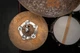 Звуковой эффект для тарелки MEINL DCRING Dry Ching Ring (6") - изображение 12