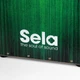 Кахон Sela Varios Bundle Green SE 131 EN - изображение 7