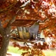Уличная кормушка для диких птиц JOK 2 WILD BIRD FEEDER BROWN - изображение 2
