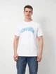 Футболка хлопковая длинная мужская Converse Mind Gardening Tee Lakeside Blue 10027344-102 M White (194435385341) - изображение 1