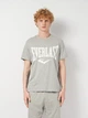 Футболка хлопковая длинная мужская Everlast T-Shirt Jersey 38M219J43-M000 M Grey Melange (8052995757164) - изображение 1