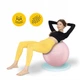 Мяч для фитнеса (фитбол) 4FIZJO 65 см Anti-Burst Pink (P-5907739317384) - изображение 6