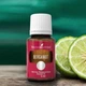 Ефірна олія Бергамоту (Bergamot) Young Living 5мл на розлив - зображення 1