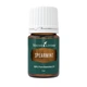 Эфирное масло Мята колосистая (Spearmint) Young Living 2мл на разлив - изображение 1