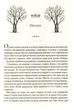 Жорстокий принц. Книга 1 - Голлі Блек (9789669820631) - изображение 4