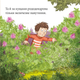 Піксі-книжка. Великодній їжак - Даніель Кратцке (9786177781959) - зображення 10