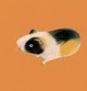 Collect the rainbow. Pets - Катерина Таберко (9786177940462) - зображення 9