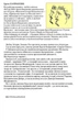Справа Сивого - Брати Капранови (9789666881260) - зображення 10