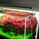 Светильник Chihiros B-Series B60 LED 60-80 см умное RGB-освещение для аквариума - изображение 4