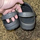Чоловічі крокси Crocs Classic Clog Slate Grey (48/49, сірий) - зображення 9
