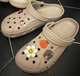 Жіночі крокси Crocs Baya Clog Cobblestone (42-43, бежевий) - зображення 13