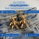 Застежки «Мишки» для уменьшения пояса ClippyFit, золотистые, набор из 5 пар - изображение 1