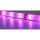 Світлодіодна фіто стрічка для рослин 5м, від мережі / LED стрічка для розсади (L) - зображення 9