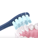 Сменные насадки для для электрической щетки Oclean, 2 шт, средняя жесткость, синие - изображение 2